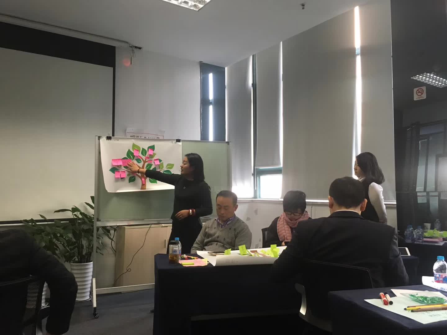 2017年星杰國(guó)際設(shè)計(jì)培訓(xùn)體系框架培訓(xùn)